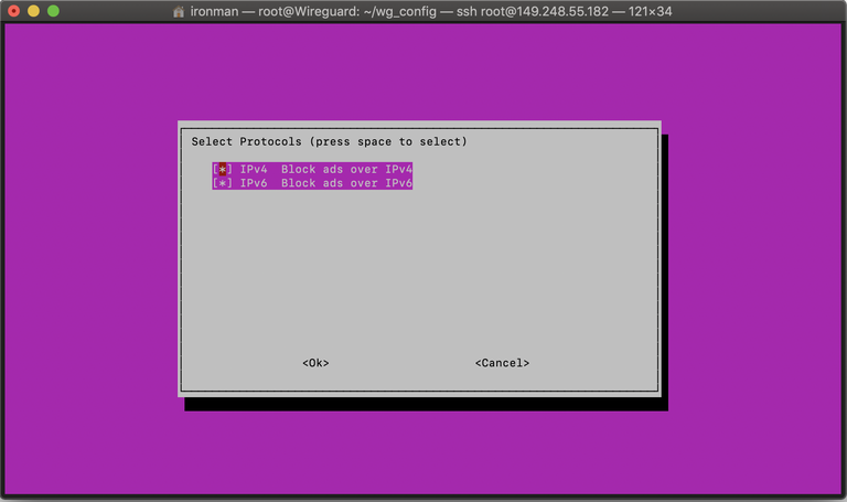Pi-hole IPv4 and IPv6