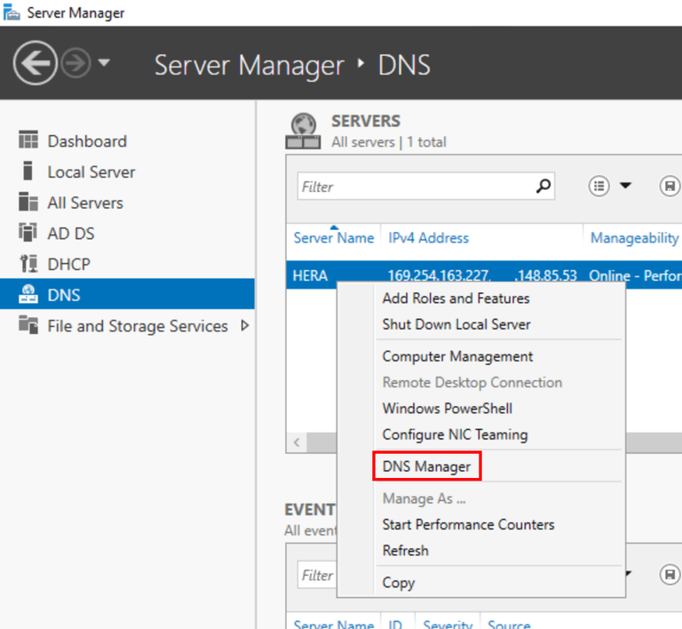 DNS Manager