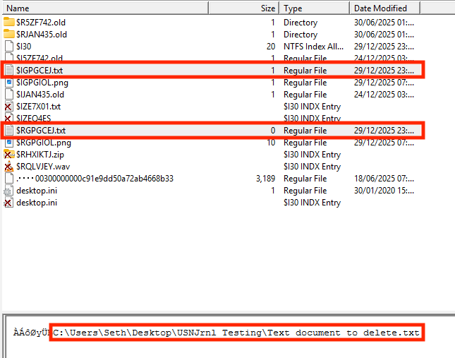 Recycle Bin contents post-delete